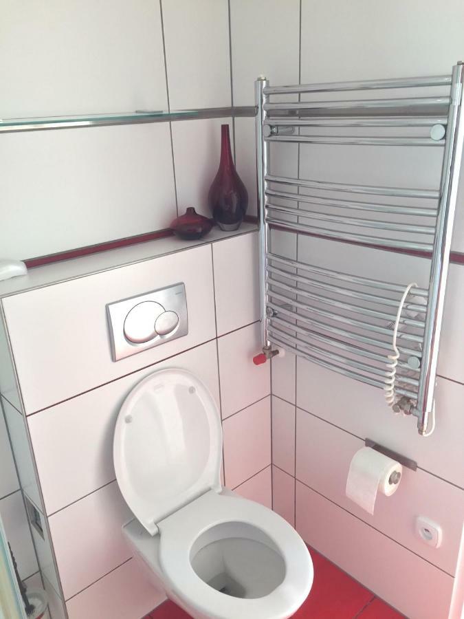 Krasny Apartman U Lesa, Trolejbus Do Centra A Bvv, Parkovani Zdarma Brno Luaran gambar